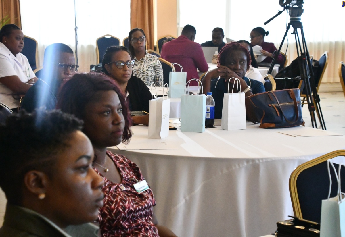 JSEZA Stages ‘Unplugged’ Stakeholder Workshop In Montego Bay